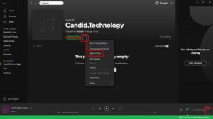 Why Keep Your Spotify Account Private?