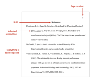 APA Format Resources