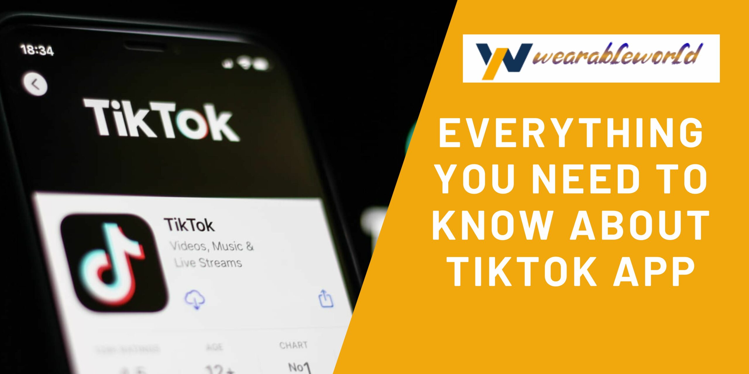 All About TikTok