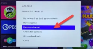 How To Delete Channels On Roku