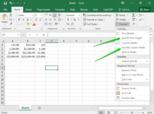 Format option in Excel