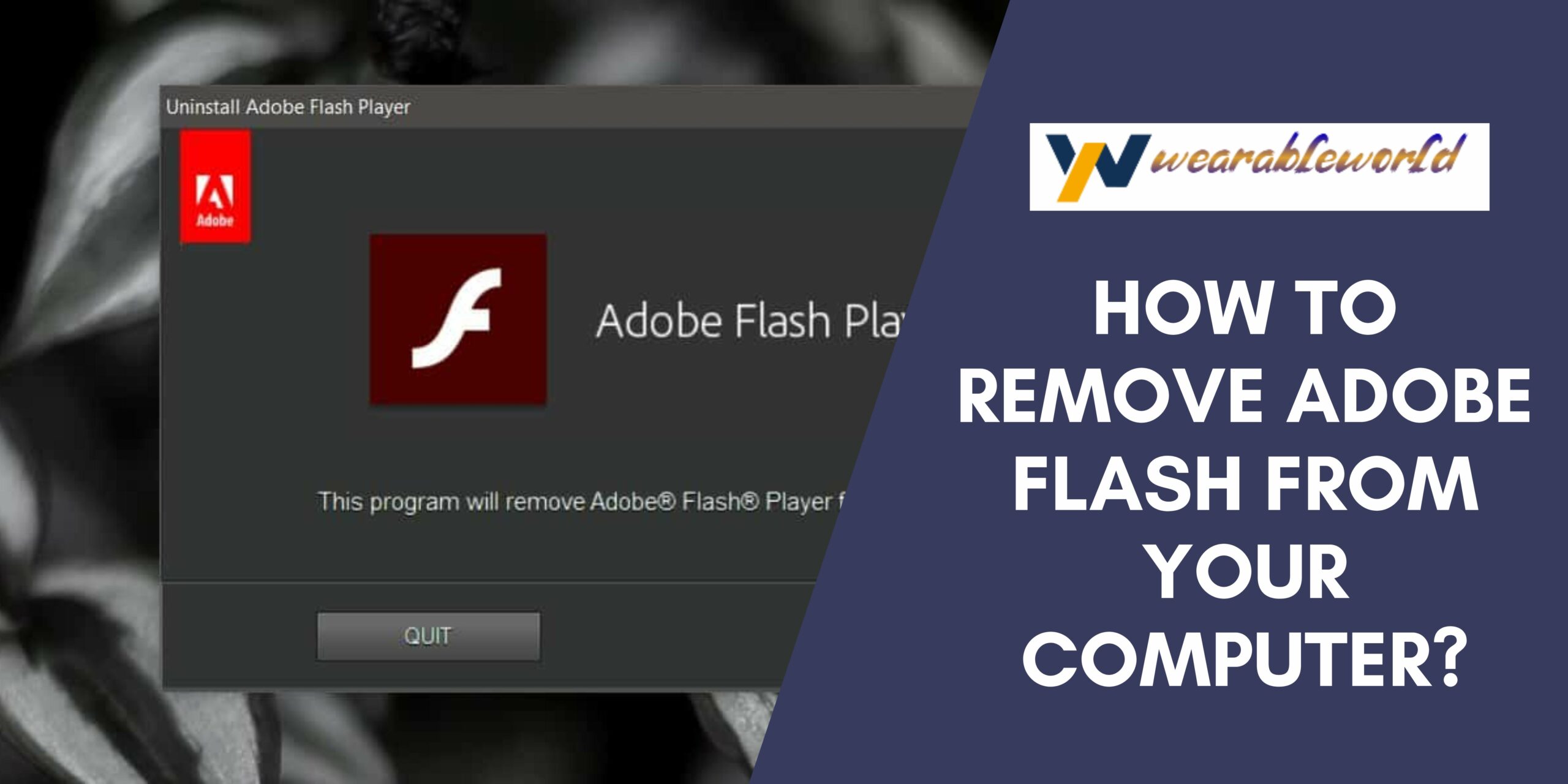 Remove Adobe Flash from your computer