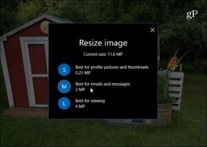 Resize-image-options