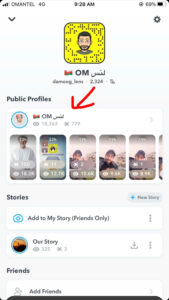 Things To Keep In Mind Before Making a Public Profile On Snapchat